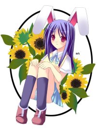 BUY NEW touhou - 103553 Premium Anime Print Poster